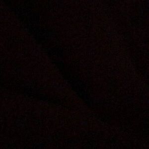 Meet your Posher, Larissa